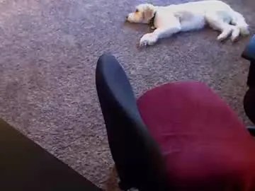 willwill2222 on Chaturbate