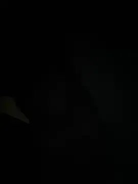 Anaroussew02 on StripChat