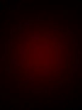 AnthonelaDuque — Jump and jump on my torso