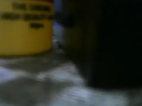 beauty_petite's avatar