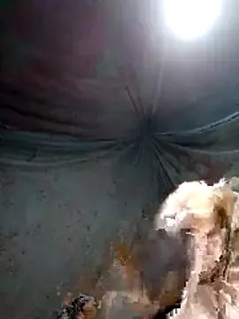 blonde_blg on StripChat