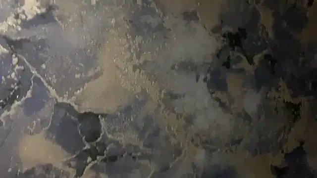 Donald_boy — take off your t-shirt