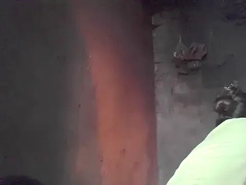 fanchunn on StripChat