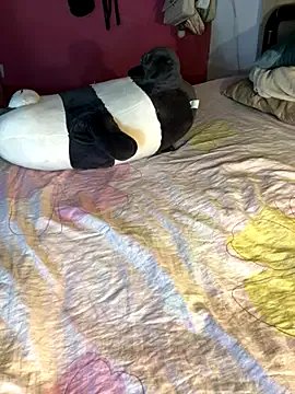 Fresi_blonde on StripChat