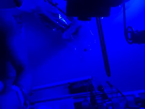 gurlnips on StripChat