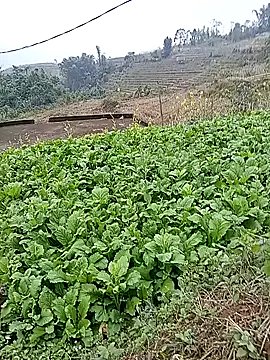 Hiniyk2 on StripChat