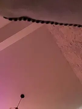 Lexi_Storm on StripChat