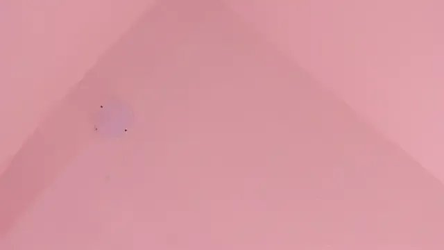 LoveQueen2 on StripChat