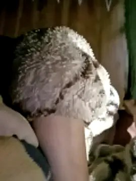 maple694 on StripChat