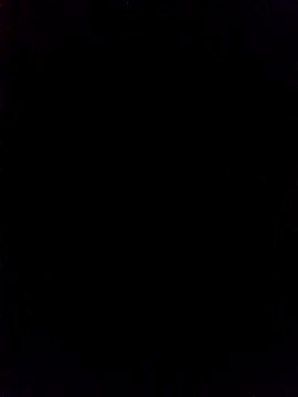 prototipoA45 on StripChat