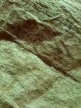 RASIYAN_RANI's avatar