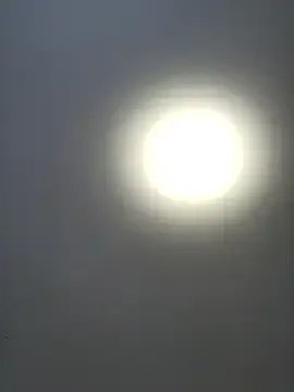 roksa2026 on StripChat