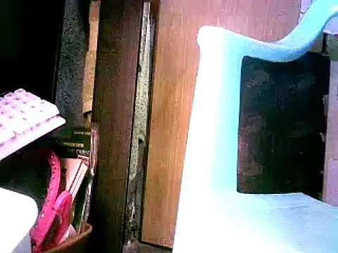 sofiaASS69 on StripChat