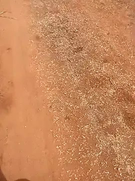 Tamilpaiyan07's avatar