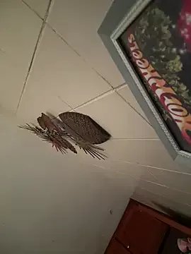 Valentinacouple's avatar